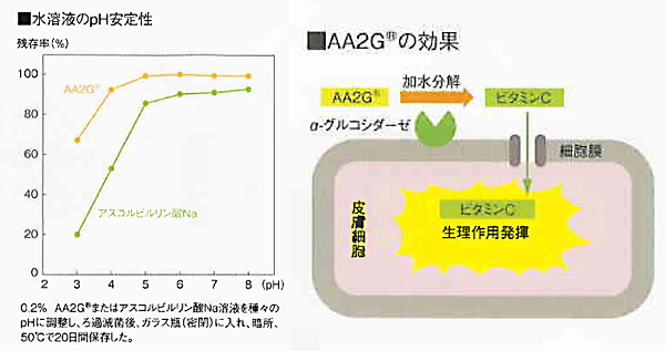 L―アスコルビン酸2-グルコシド